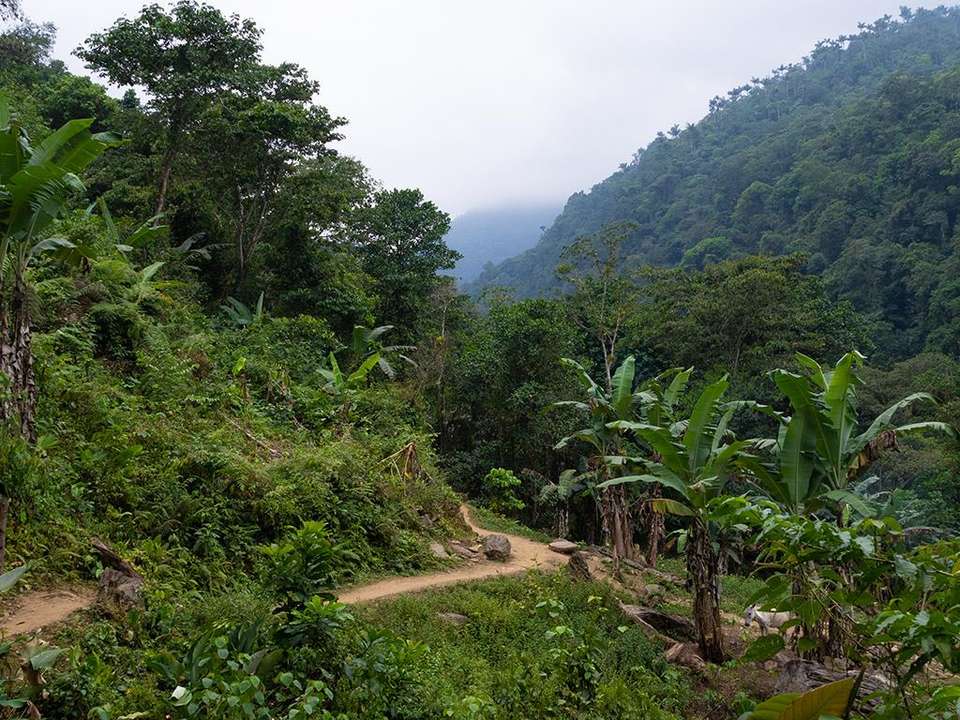 Colombian Caribbean Highlights 14D/13N - Bamba - Colombia - Image 2