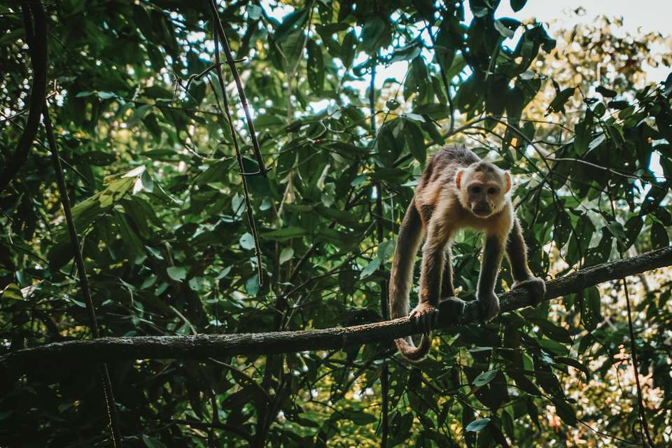 Colombian Odyssey: Urban Splendor to Island Wonders 10D/9N - undefined - Image 5