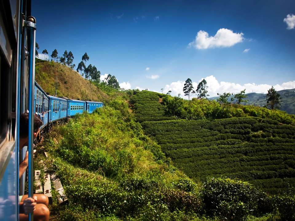 Colombo, Caves & Kandy - 8 days - On The Go Tours - Sri Lanka - Image 5