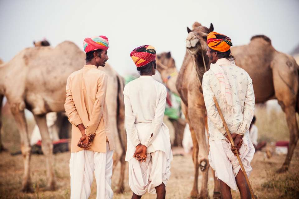 Colours of Rajasthan - Pushkar Festival - Exodus Adventure Travels - India - Image 13