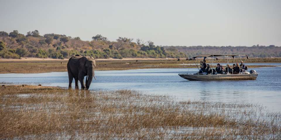 Complete Botswana: National Parks & Delta Wildlife - G Adventures - Botswana - Image 5