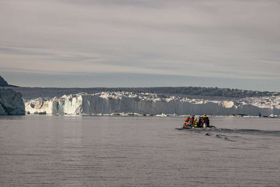 Complete East Greenland (Ocean Albatros) - Intrepid Travel - Iceland - Image 8