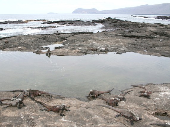 Image 4 of 24