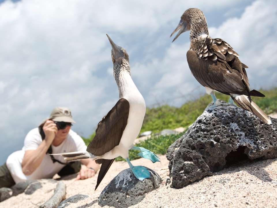 Complete Galápagos - Eden - G Adventures - Ecuador - Image 3