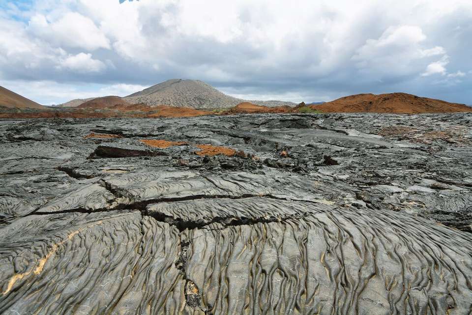 Complete Galapagos (Grand Daphne) - Intrepid Travel - Ecuador - Image 8