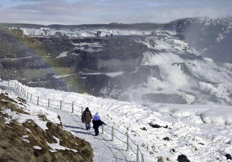 Reykjavik Wildlife Tour: Complete Iceland Adventure