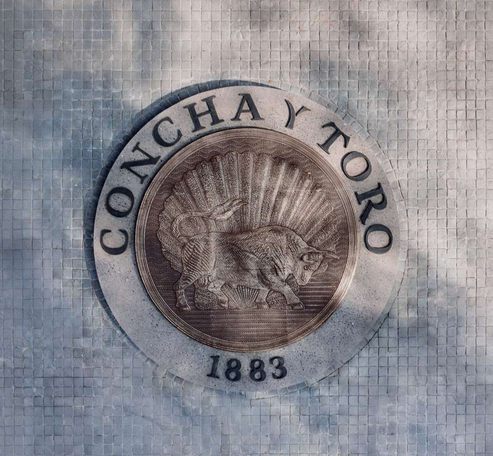 Concha y Toro Wine Experience - Gray Line Chile - Chile - Image 3