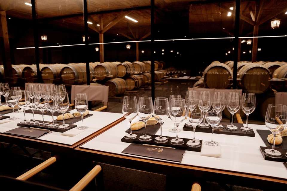 Concha y Toro Wine Experience - Gray Line Chile - Chile - Image 5