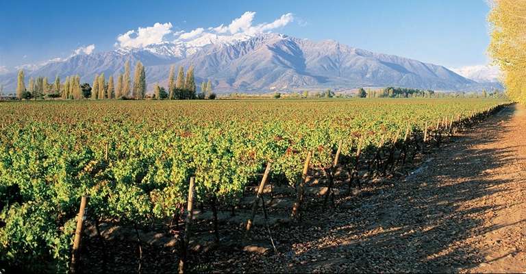 Concha y Toro Wine Experience - July 2027