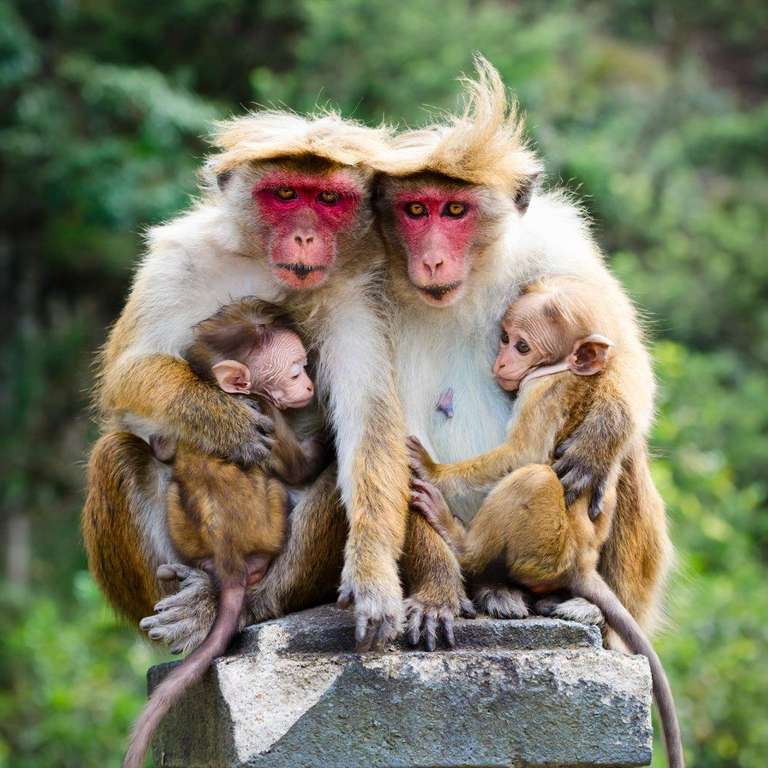 Negombo Active and outdoor Tour: Connected To The Wild, Private Tour