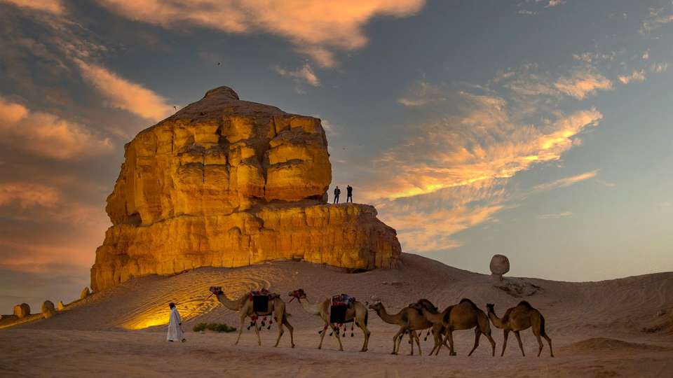 Highlights of Saudi Arabia Jordan and Egypt - undefined - Image 10