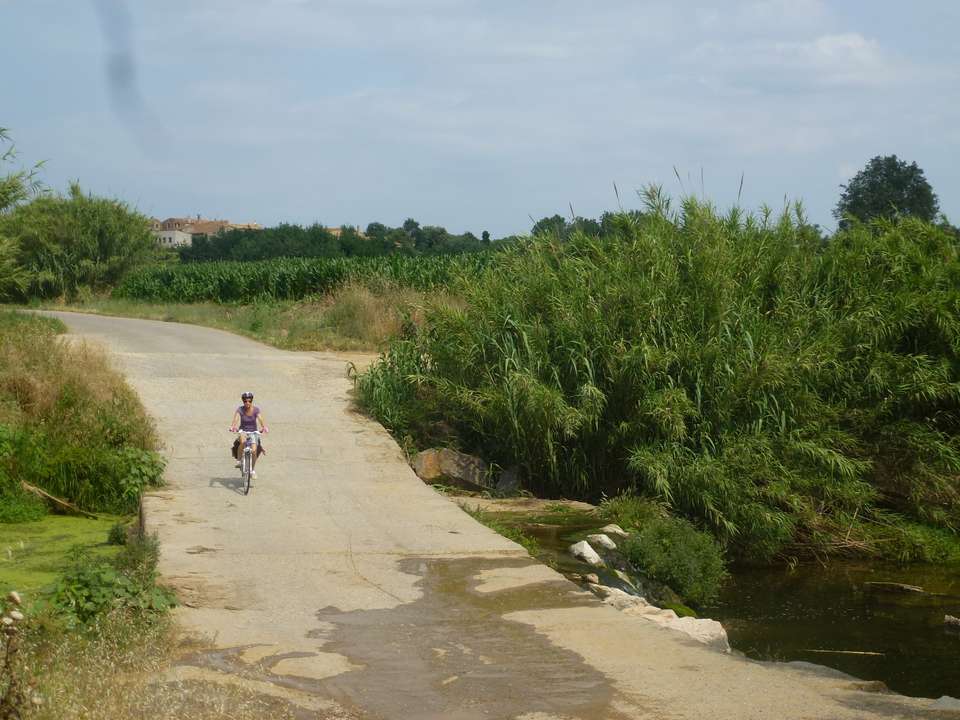 Contrasts of Catalonia (Catalunya) Cycling - Exodus Adventure Travels - Spain - Image 3