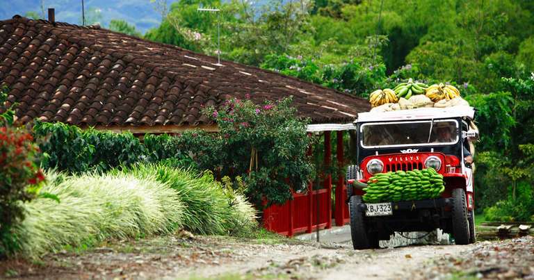 Bogota Cultural, religious and historic sites Tour: Contrasts of Colombia