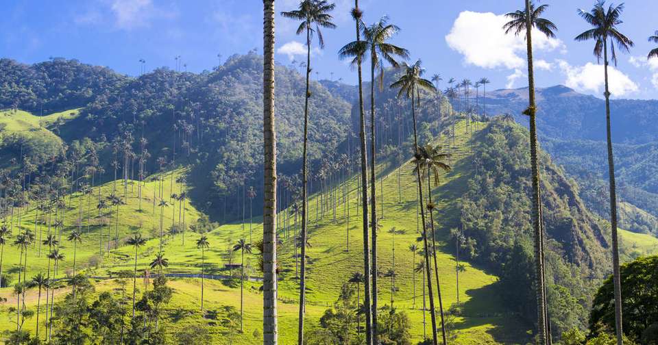 Contrasts of Colombia - Explore - Colombia - Image 19