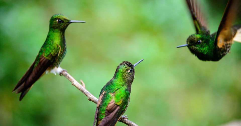 Contrasts of Colombia - Explore - Colombia - Image 11