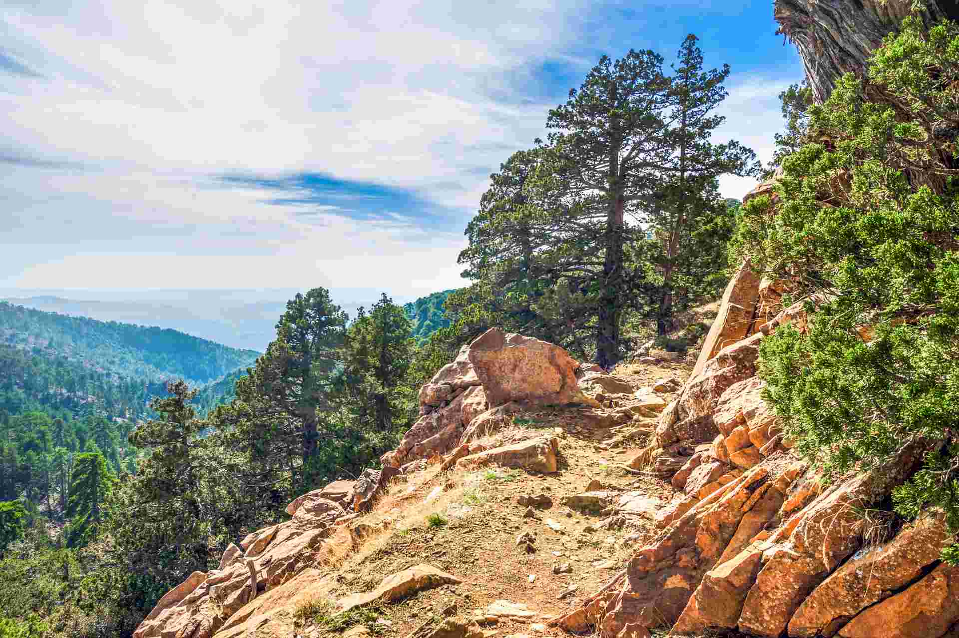 Contrasts of Cyprus Walking