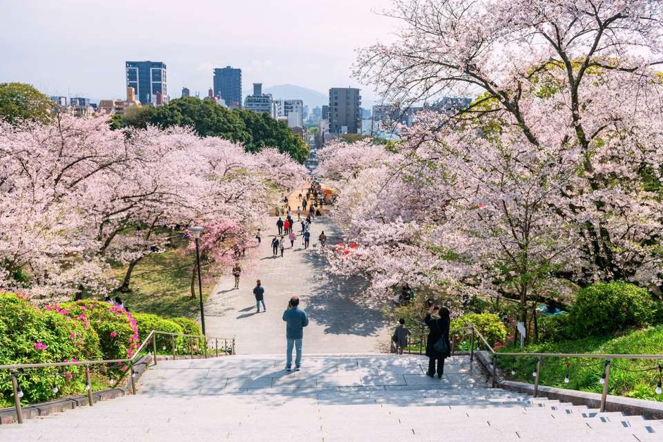 Contrasts of Japan and Nagasaki - Europamundo - Japan - Image 10