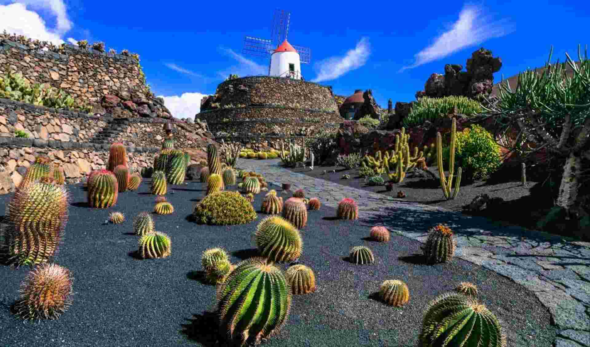 Contrasts of Lanzarote