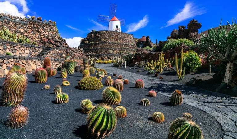 Contrasts of Lanzarote trip - alternative tour available