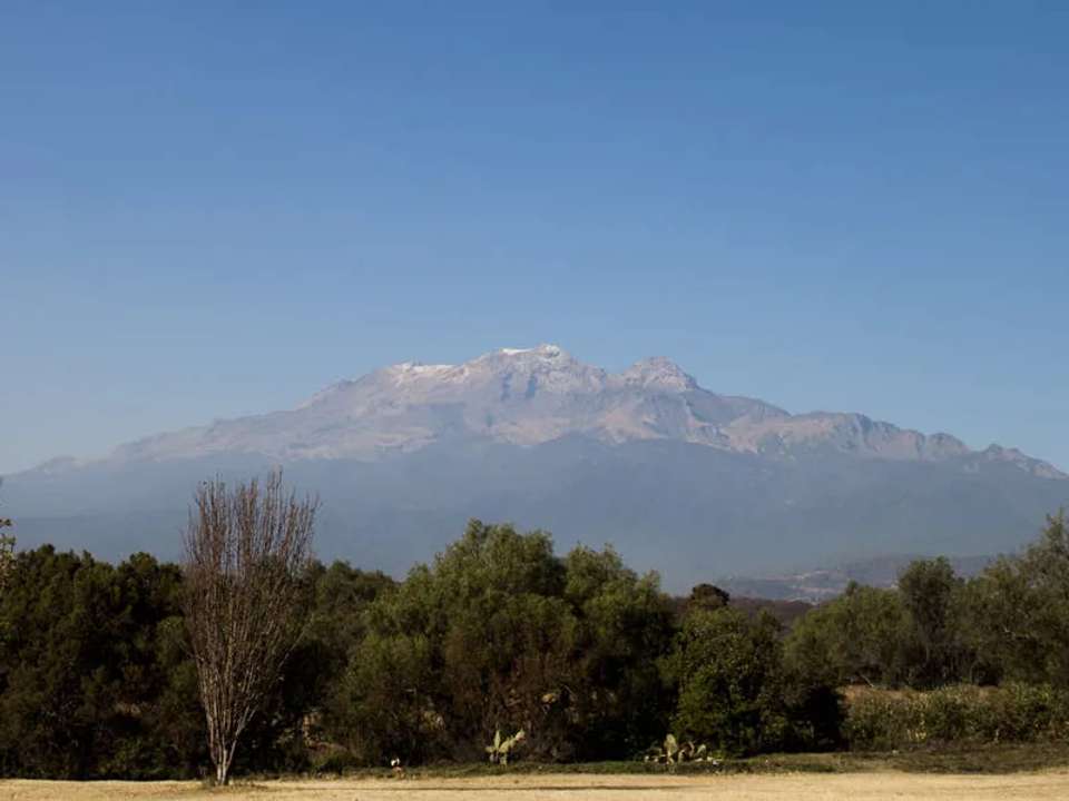 Image 15 of 19
