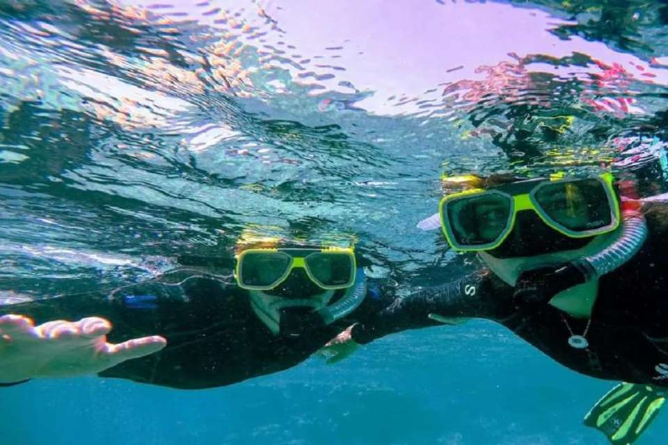 Coralina Island: A Day Trip To The Rosario Islands - VIP Ticket - undefined - Image 4