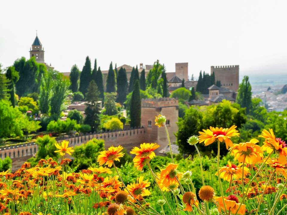 Cordoba, Seville & Costa del Sol (Superior) - 9 days - On The Go Tours - Spain - Image 5