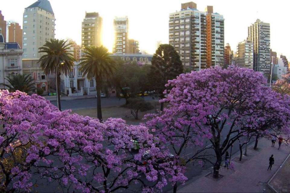 Cordoba Sightseeing Tour & Jesuit Legacy - Tangol Tours - Argentina - Image 6