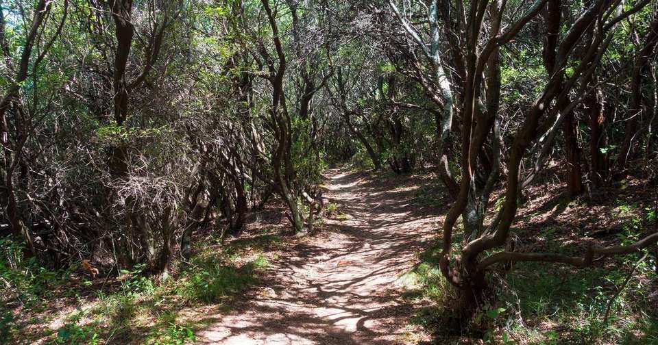 Corfu Trail Walking - North and South - Explore - Greece