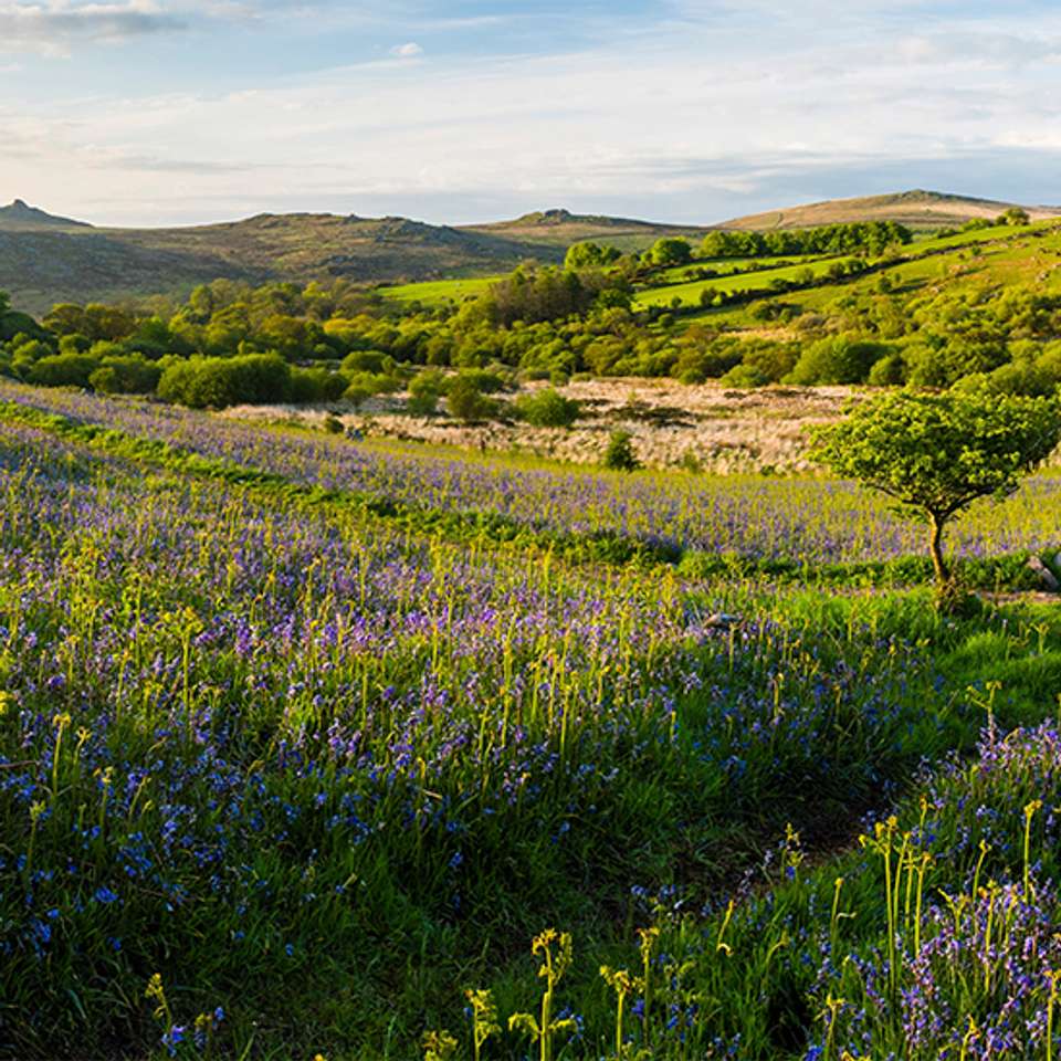 Corners of Cornwall - Back-roads Touring - England - Image 5