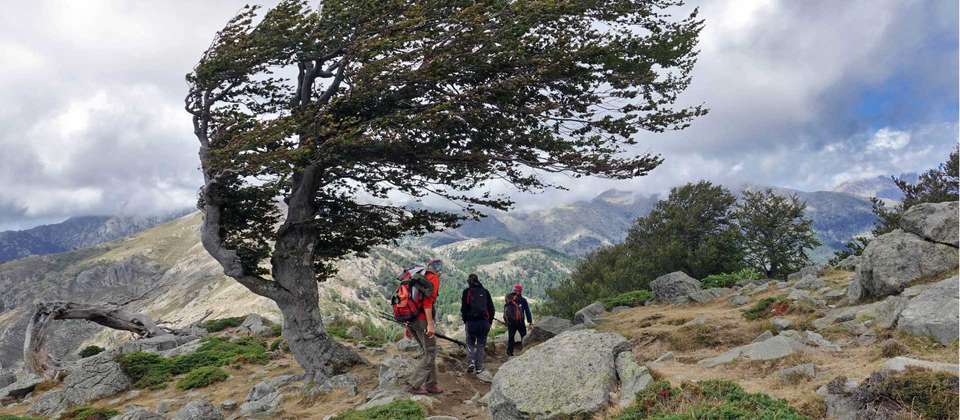 Corsica GR20 North - Utracks - France