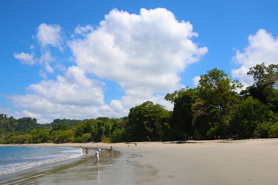 Costa Rica: A World of Nature featuring Tortuguero National Park, Arenal Volcano & Manuel Antonio National Park - undefined - Image 5