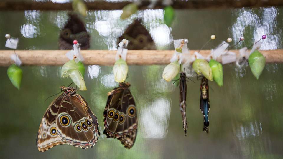 Costa Rica Adventure - G Adventures - Costa Rica