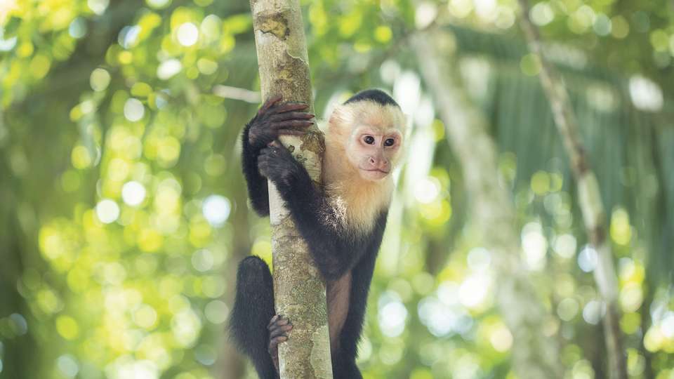 Costa Rica Adventure - G Adventures - Costa Rica