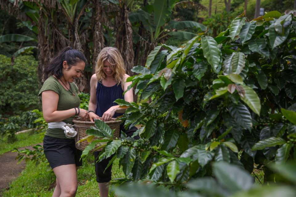 Costa Rica Adventure - G Adventures - Costa Rica