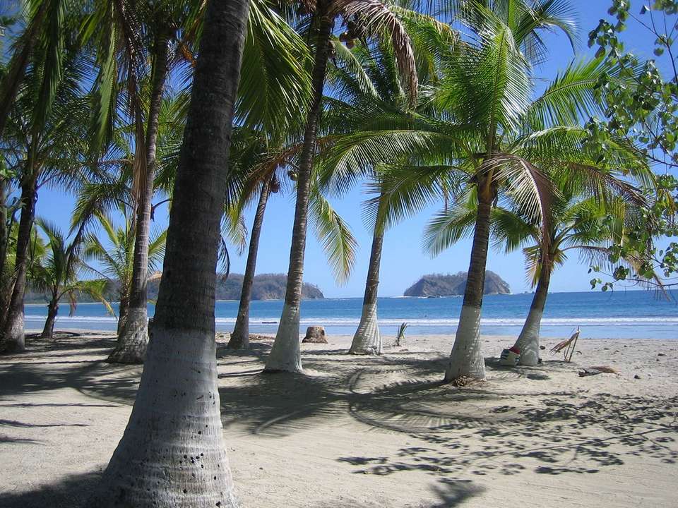 Costa Rica Adventure & Beach - 11 Days - On The Go Tours - Costa Rica - Image 6