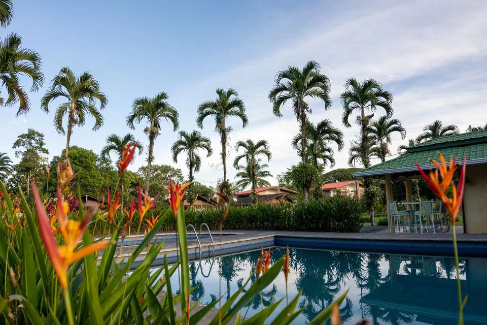 Costa Rica Adventure Family Holiday - Exodus Adventure Travels - Costa Rica - Image 19