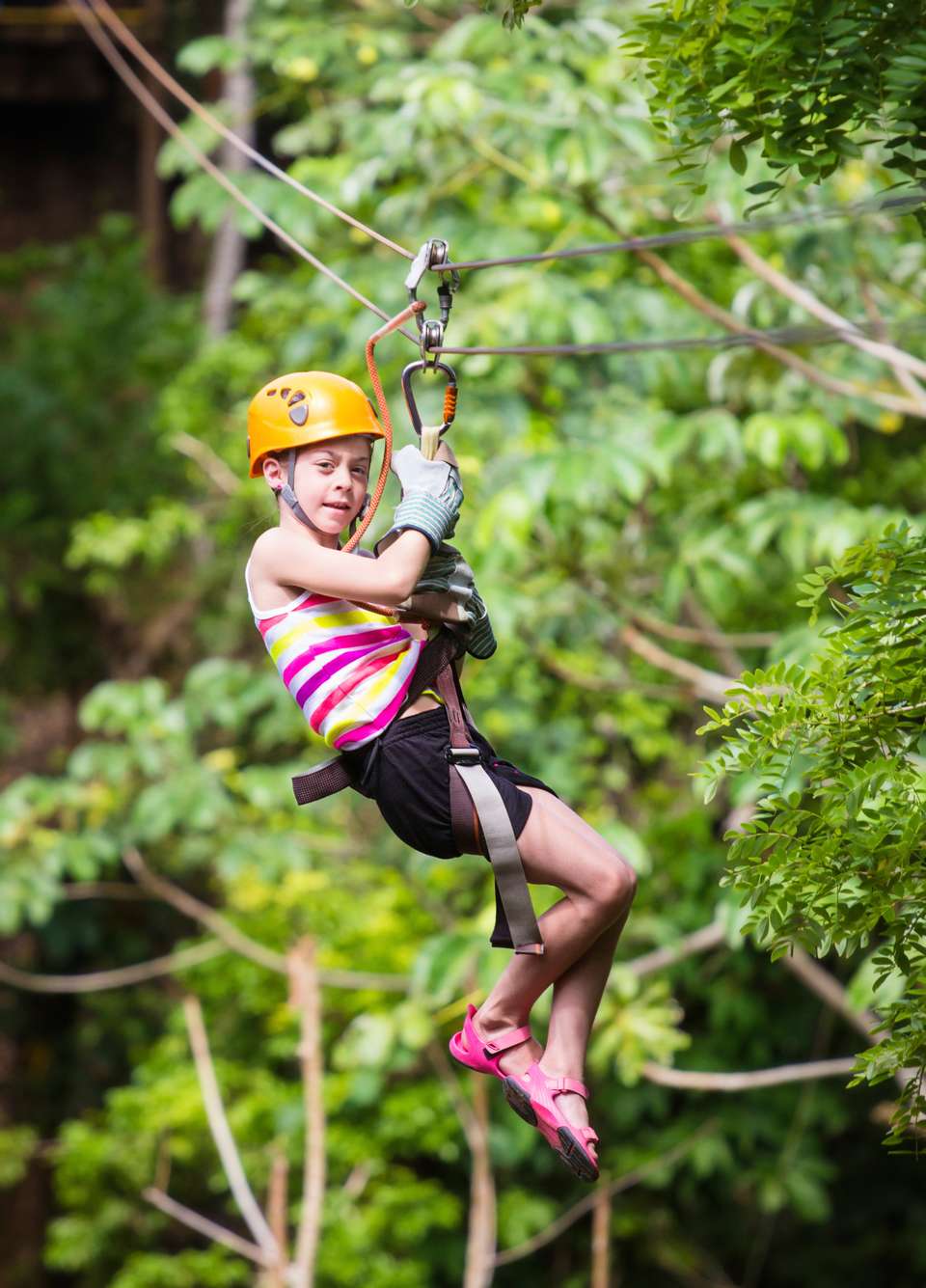 Costa Rica Adventure Family Holiday - Exodus Adventure Travels - Costa Rica - Image 9