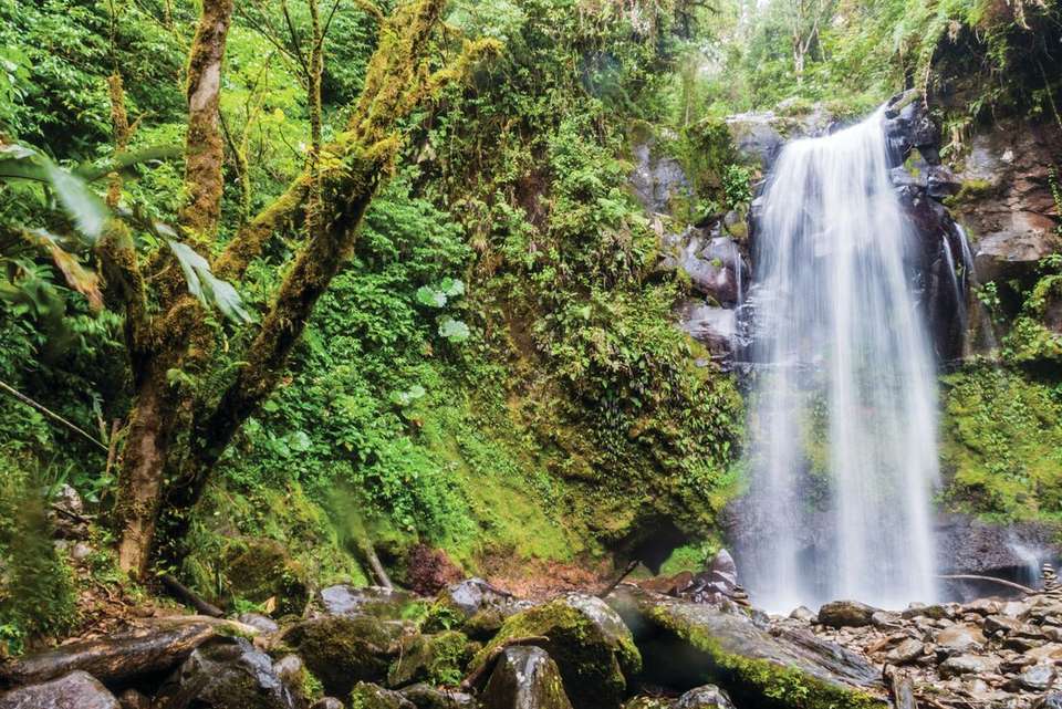 Costa Rica & Panama Discovery - Intrepid Travel - Costa Rica - Image 17