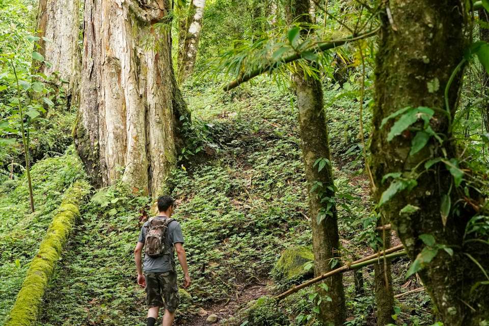 Costa Rica & Panama Discovery - Intrepid Travel - Costa Rica - Image 16