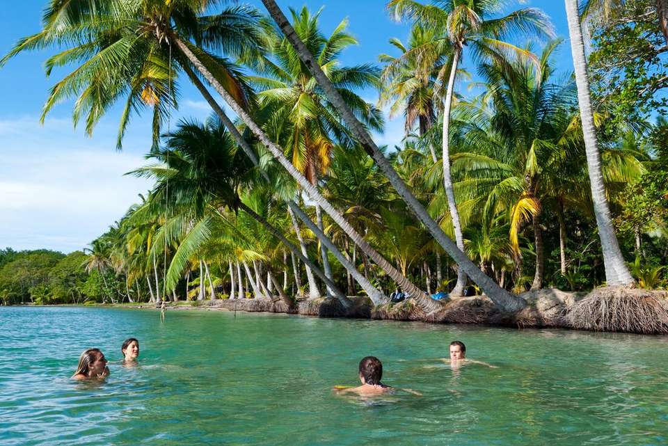 Costa Rica & Panama Discovery - Intrepid Travel - Costa Rica - Image 10