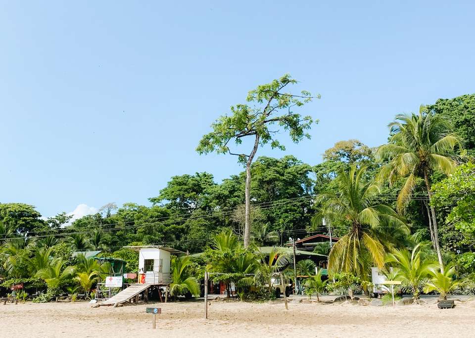 Costa Rica Backpacker - Trutravels - Costa Rica - Image 8