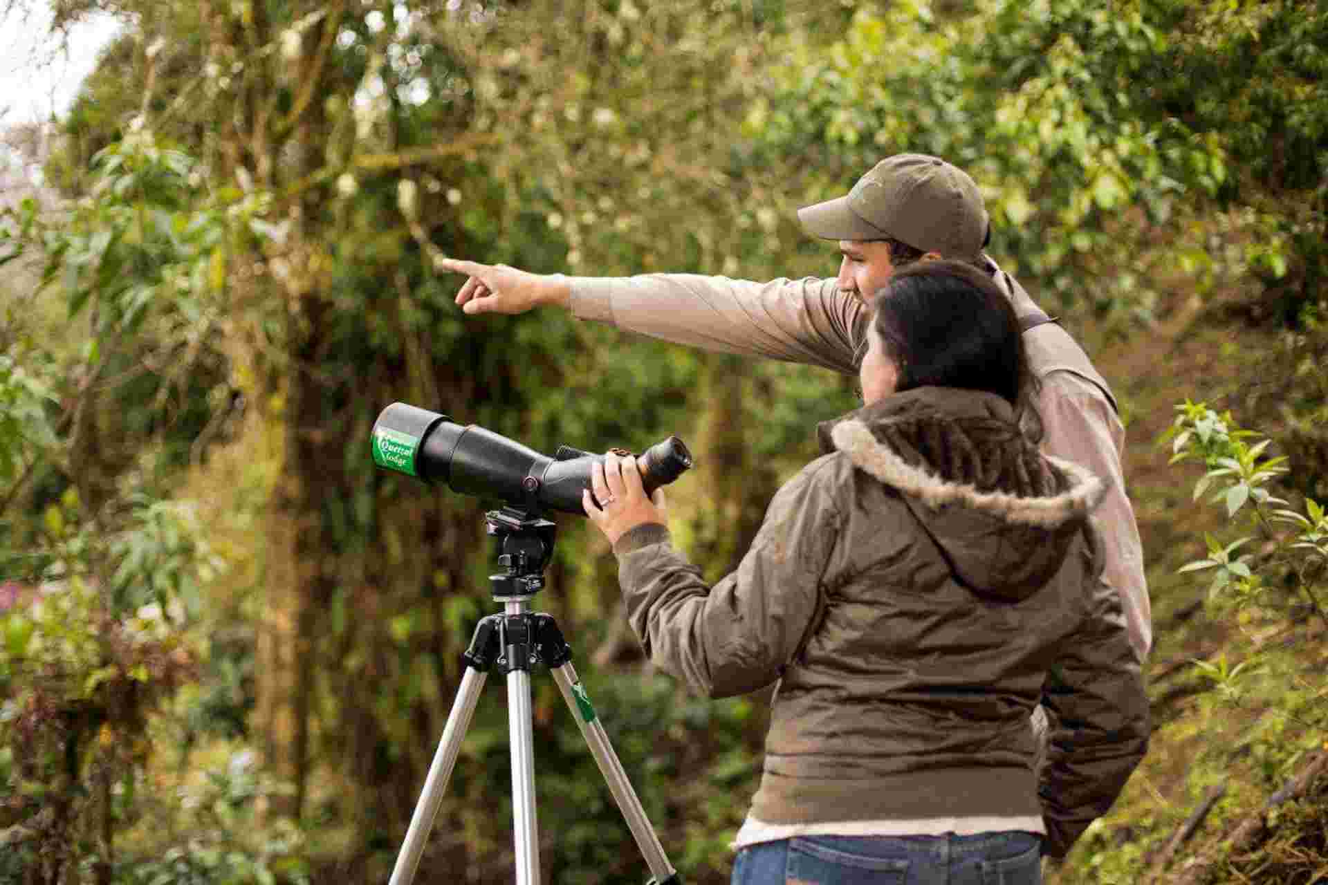 Costa Rica Birdwatching (on Request)