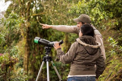 San Jose Wildlife Safaris And Game Drives Tour: Costa Rica Birdwatching (on Request)