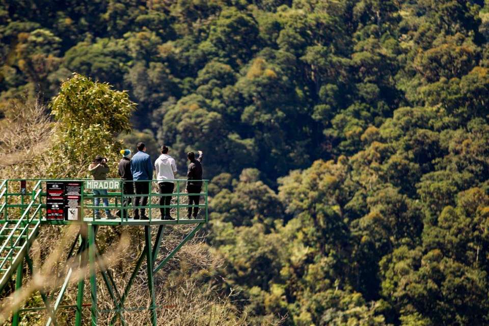 Costa Rica Birdwatching (on Request) - Destination Services - Costa Rica - Image 6