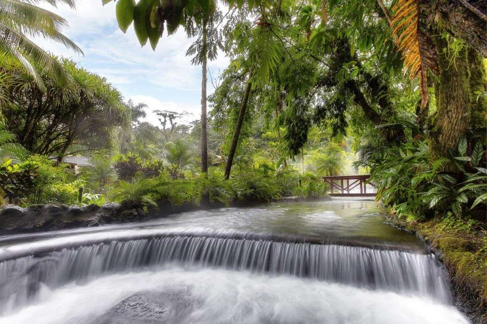Costa Rica Birdwatching (on Request) - Destination Services - Costa Rica - Image 7
