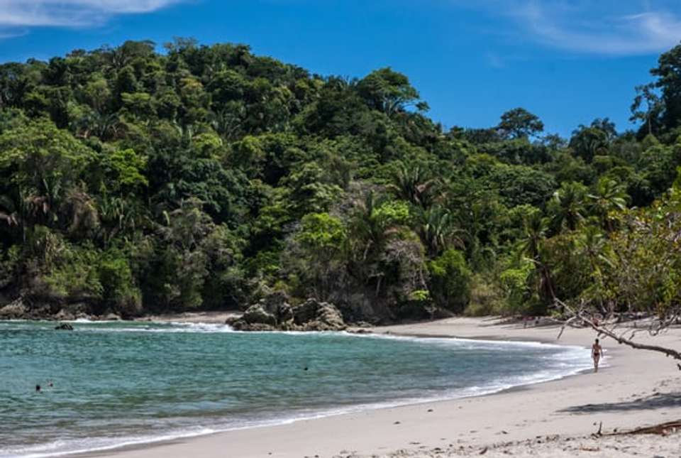 Costa Rica Coast to Coast - 10 Days - On The Go Tours - Costa Rica - Image 4