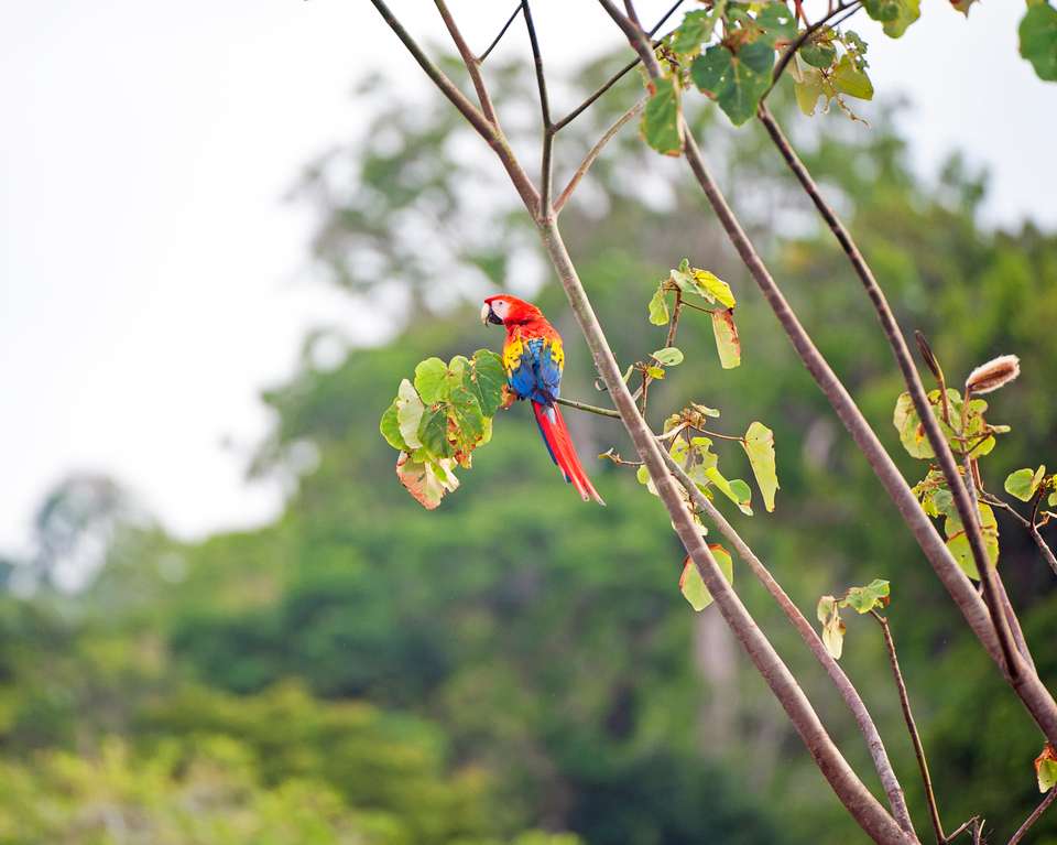 Costa Rica Coast to Coast Ride - Exodus Adventure Travels - Costa Rica - Image 10