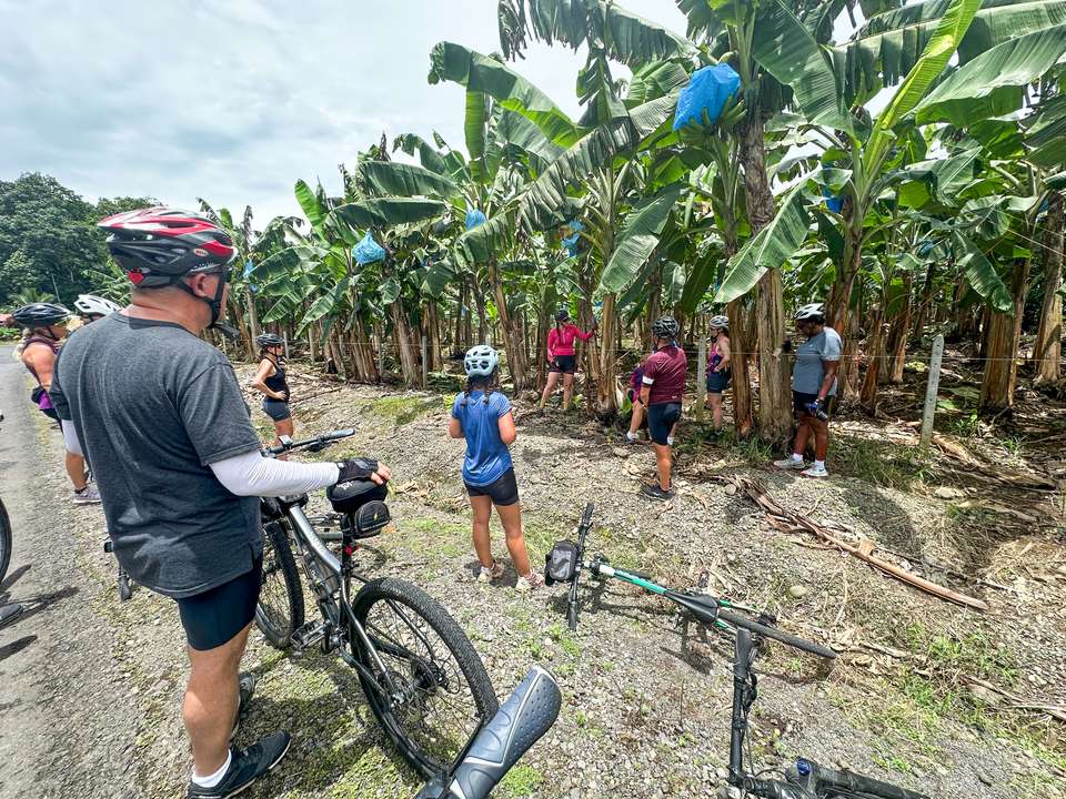 Costa Rica Coast to Coast Ride - Exodus Adventure Travels - Costa Rica - Image 7