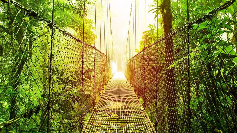 Costa Rica Eco Adventure - Greenway Nature Tours - Costa Rica - Image 15