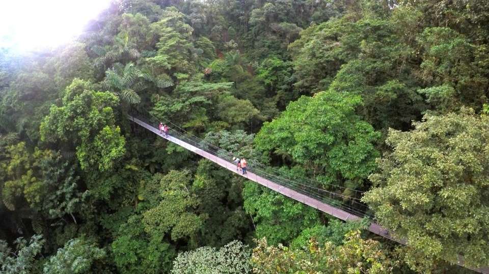 Costa Rica Eco Adventure - Greenway Nature Tours - Costa Rica - Image 8